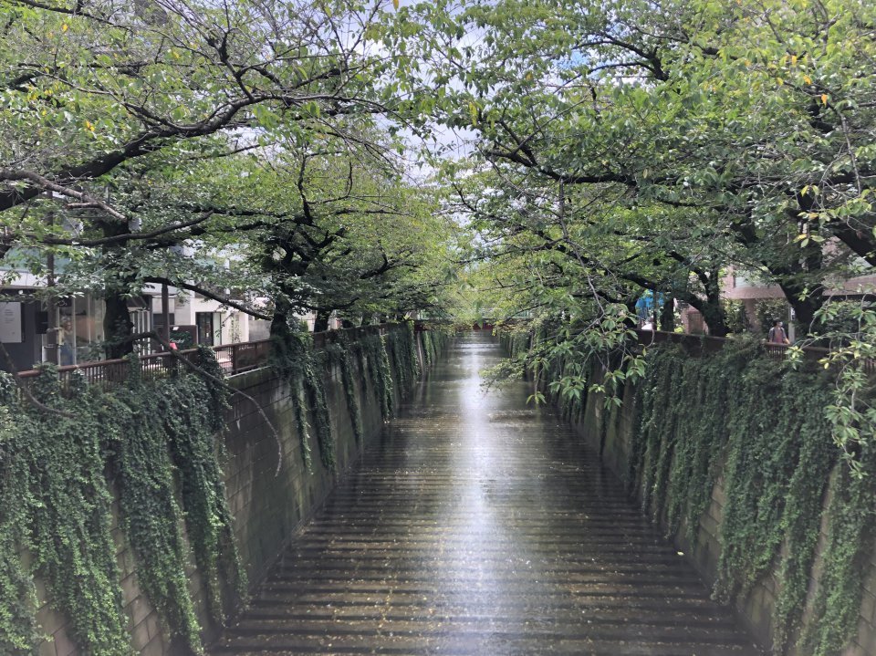 の画像